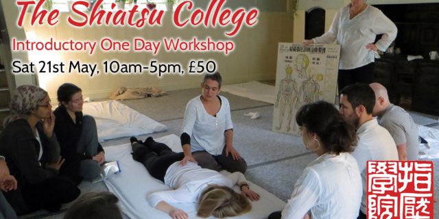Shiatsu Introductory Day May 2016