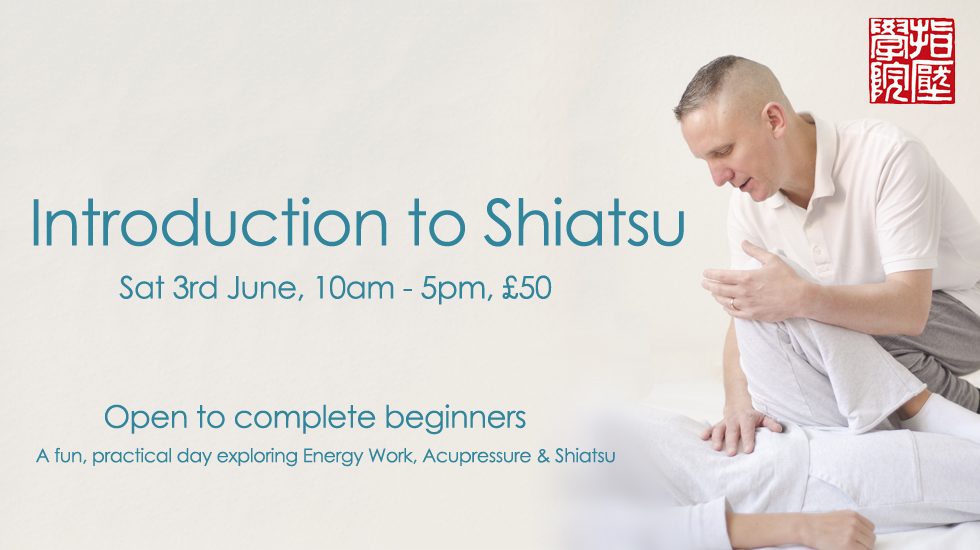 Shiatsu Intro Day 2017 June