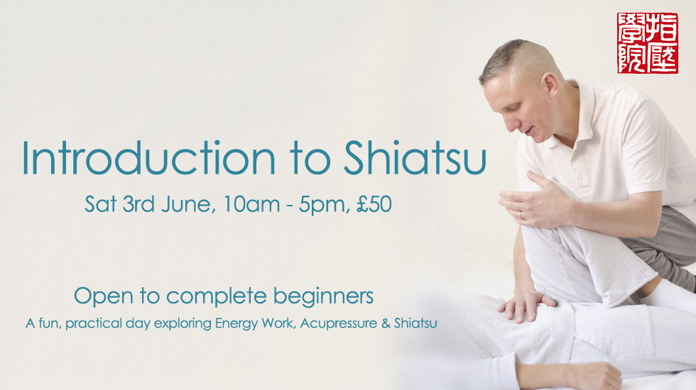 Shiatsu Intro Day 2017 June