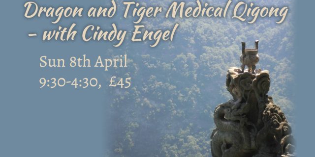 Dragon and Tiger Medical Qigong 2018 April