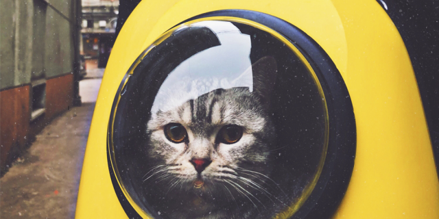 How to let go of things we can't change