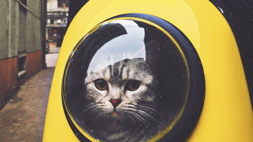 How to let go of things we can't change