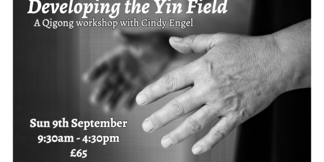 Developing the Yin Field 2018-09