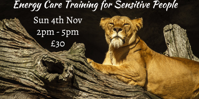 Energy Care Training for Sensitive people 2018-11